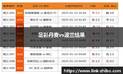 足彩丹麦vs波兰结果